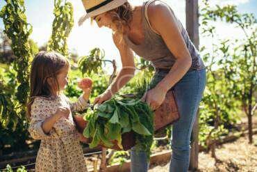 Environmental Pollution: Everything You Need to Know